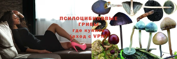 хмурый Балахна