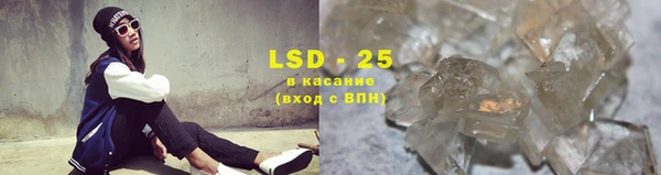 ешки Аркадак