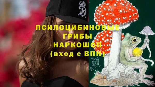 ешки Аркадак